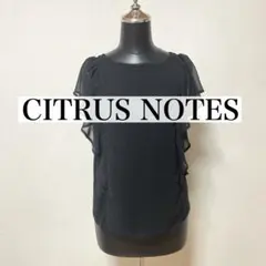 CITRUS NOTES フリルカットソー シアー袖 ブラウス　黒 フェミニンのサムネイル