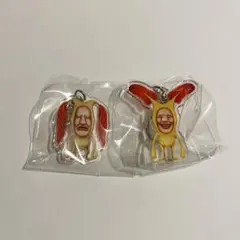 こびとづかんEXPO限定アクリルキーホルダー ホトケアカバネ・ホットケアカバネ