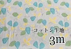 コットン フルーツ柄 生地 布地 3m 《11》