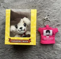 岩田剛典 ロッキー ぬいぐるみ Tシャツキーホルダー 三代目JSB GUN