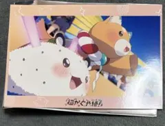 超かぐや姫！　プロマイド　MV場面風TRブロマイド　犬DOGE フシ
