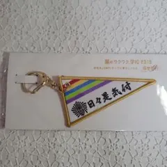 아라시의 두근두근 학교 2019 수학 여행 페넌트 키 체인