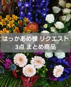 はっかあめ様 リクエスト 3点 まとめ商品