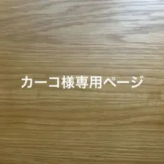 カーコ様専用ページ　ハンドメイド犬服　小型犬用　ワンピ