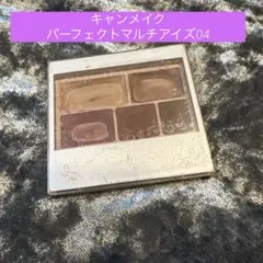 キャンメイク　パーフェクトマルチアイズ04