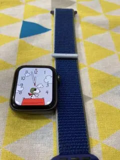 Apple Watch SE 最大容量 100%