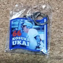 【9/27】鵜飼航丞 中日ドラゴンズ ガチャ ダイカットキーホルダー