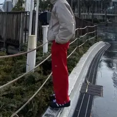 Dickies ワークパンツ レッド Loose Fit 赤 ディッキーズ