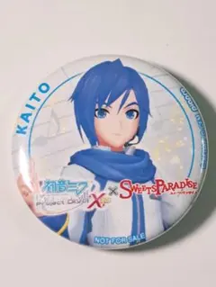 2025年最新】diva x 缶バッジの人気アイテム - メルカリ