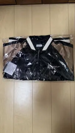 Item thumbnail for item dc9d34ec-3f51-4db0-9d48-131313c5a493