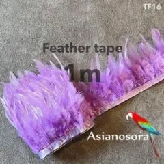 Item thumbnail for item ce84cb66-0350-4a8a-8f46-126159cef845