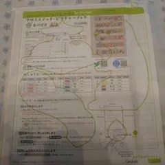 ドキンちゃん様 リクエスト 3点 まとめ商品