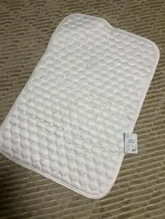 Item thumbnail for item ceb53f05-e338-4293-8a57-e87dee5aedf8