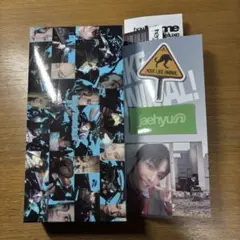 BOYNEXTDOOR ジェヒョン HOME:DELUXE ロゴステッカー