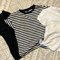 Tシャツ3枚セット