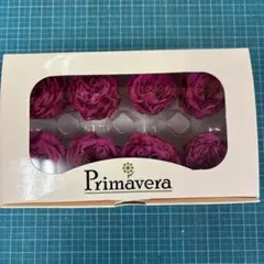 ナナガーデンローズのカシスベリー