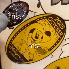 ディズニーシー スーベニアメダル マンスリーメダル 10月 農夫 ミッキー