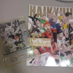 ハイキュー!! Sportiva バレーボール 特集号 Vol.3　付録のみ