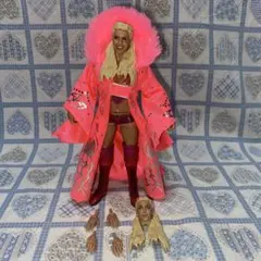 プロレス スポーツ