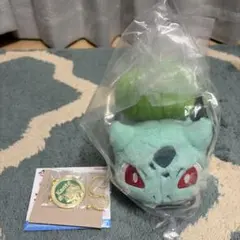 一番くじ ポケモン 30th C賞 J賞 フシギダネ セット