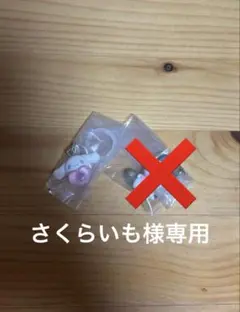 さくらいも様 専用出品
