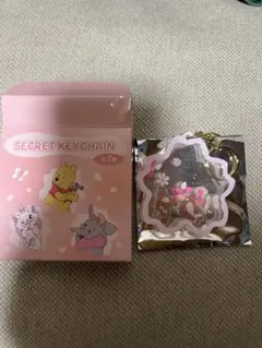 ディズニーストア 桜 シークレット キーチェーン チップ&デール
