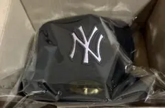 Item thumbnail for item 18ece329-674f-4e0e-89c7-2e80bc398486