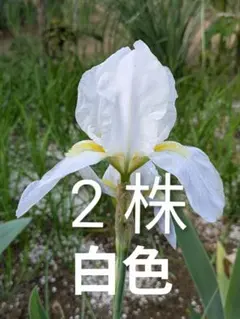 じゅんじゅん♪♬様 リクエスト 2点 まとめ商品