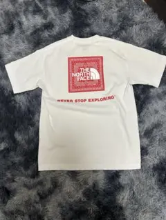 THE NORTH FACE バンダナ 長袖Tシャツ 白