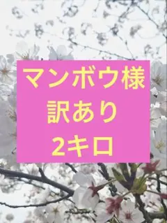 農家直送新鮮野菜きゅうり