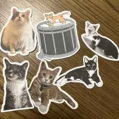 猫のステッカー 6枚セット