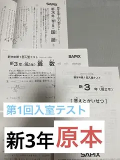 【原本】　サピックス 新3年（現2年）　新学年第1回入室テストのサムネイル