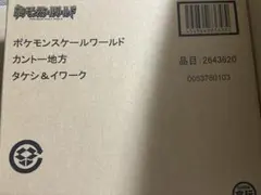 ポケモンスケールワールド カントー地方 タケシ&イワーク