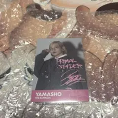 山本彰吾　サイン入りチェキ 2026年最新】山本彰吾 チェキの人気アイテム - メルカリ