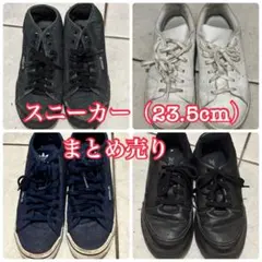 Item thumbnail for item f92a8d84-a543-4c94-bb8b-b509e09e4b35