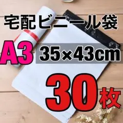 Item thumbnail for item 4702be70-56ce-4e0f-af17-734f81264465