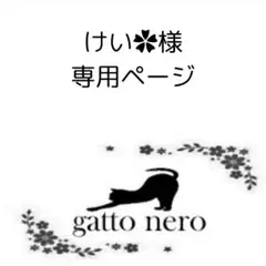 けい‪‪✿様　専用ページ