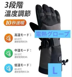 電熱グローブ　タッチパネル対応 バッテリー付き　温度調整　アウトドア　冬用　L