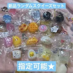 新品【希望指定可能★おまけあり】　ミニサイズランダムスクイーズセット