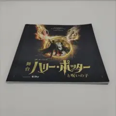 【き163】舞台 ハリー・ポッターと呪いの子 パンフレット