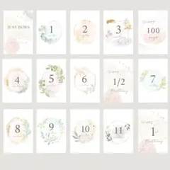 Item thumbnail for item 012e15a8-3f80-4430-b548-c6d7212d02d3