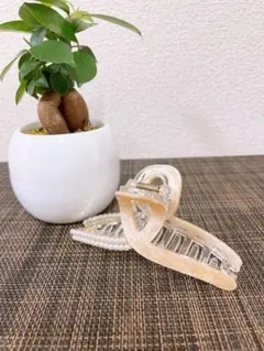 Item thumbnail for item 78045d76-02b7-4bd6-a03c-515274473a6e