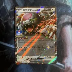 ガチグマアカツキex ジムプロモ promo