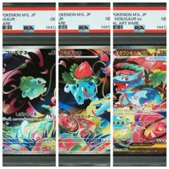 PSA10 連番 フシギソウ リザード カメール AR sv2a 151 - メルカリ