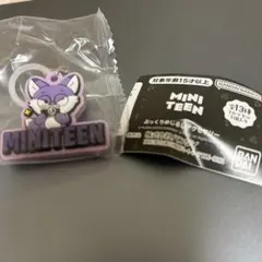 ミニティーンぷっくりめじるしアクセサリー ウォヌ