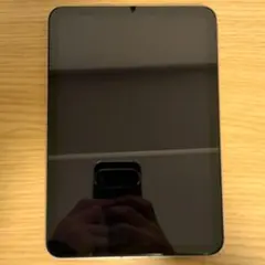 Apple iPad mini 第6世代 64GB ピンク Cellular