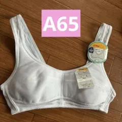 Item thumbnail for item e1e7880e-258c-4f59-8292-0ef3d78b032d