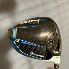 シム2マックス　名器！