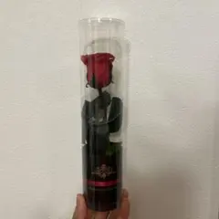 Item thumbnail for item cd15b89c-a27d-417c-adc9-901b821e462a