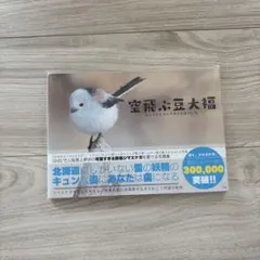 Item thumbnail for item d853715b-9c70-460b-b04f-0c055183a901